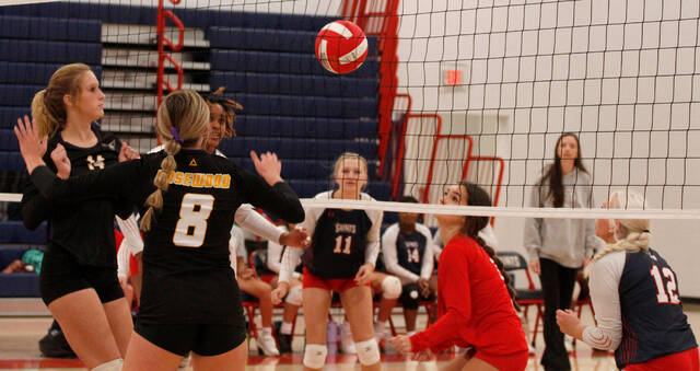 129992659_web1_SaintsRVB6
Southern Wayne libero Karlie Lane (red shirt) plays a ball out of the net during early-set action against Rosewood Monday afternoon. (Rudy Coggins|mountolivetribune.com)
