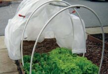 
			
				                                Row covers or cold protection covers can be used to protect plants from late freeze events. (Photo courtesy NC State Extension)
 
			
		