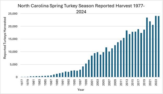 130728730_web1_Graph---Turkeys1
Graph courtesy North Carolina Wildlife Commission shows
The N.C. Wildlife Commission shows hunters recorded 24,074 turkeys harvested statewide in 2024. (Courtesy photo)