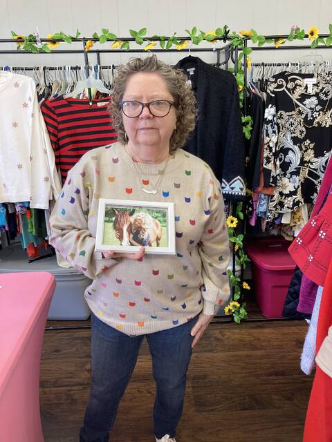131203272_web1_rita-s-rescue-1
Roberta Best holds a photo of the late Rita Long, the friend in whose memory Best founded Ritas Rescue, a nonprofit dedicated to the rescue of cats. (Kathy Grant Westbrook|mountolivetribune.com)