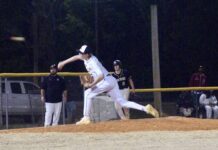 
			
				                                Brody Batchelor working on the strike zone during his appearance pitching for the Tigers. (Robert Taylor|mountolivetribune.com)
 
			
		