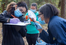 
			
				                                Forensic Science students participate in a decomposition lab as part of their Forensic Biology class at WCC. (WCC photo)
 
			
		
