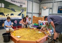 
			
				                                The 76th annual Wayne County fair will be held starting Sept. 15. Information about the fair, including a daily schedule, tickets and entertainment can be found at https://waynefair.com
 
			
		