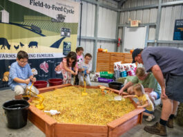 
			
				                                The 76th annual Wayne County fair will be held starting Sept. 15. Information about the fair, including a daily schedule, tickets and entertainment can be found at https://waynefair.com
 
			
		
