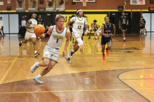 Tigers roar past Stallions in Round 2 of the 3A State Playoffs