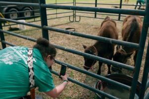AgFest draws thousands to UMO for 11th Annual Celebration of Agriculture